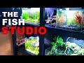How to build a fish studio vlog