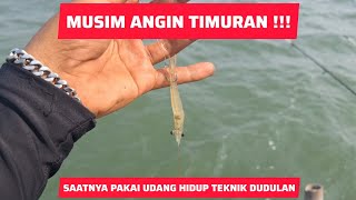 SAAT NYA MANCING DENGAN UMPAN UDANG PECI DI BAGAN TANJUNG KAIT | AWAL MUSIM ANGIN TIMURAN