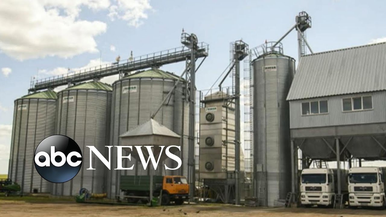 War in Ukraine could impact world hunger | ABCNL