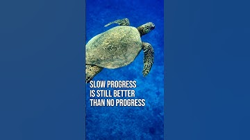 Slow progress is still better than no progress