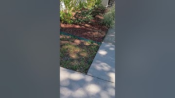 14 oktober 2025 - Nep-dakloze gangstalker heeft mijn vorige video gesaboteerd en probeerde me eri...