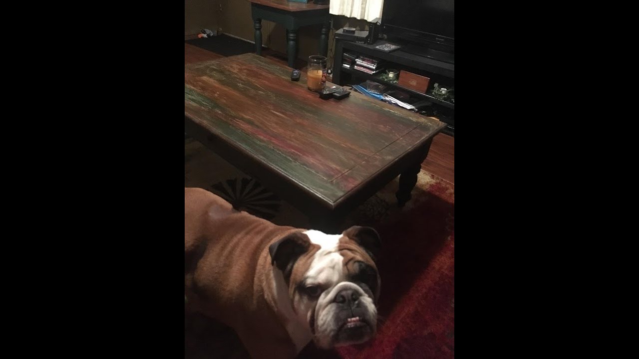 Unicorn SPiT 5770003 Gel Stain and Glaze, Phoenix Fire 4.0 FL OZ Bottle, Orange Amazon Review