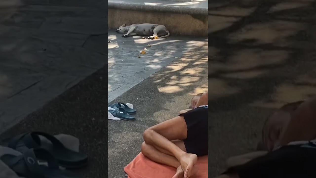 Fitness , Pilates , yoga. Bangkok , Pattaya , Lyon 