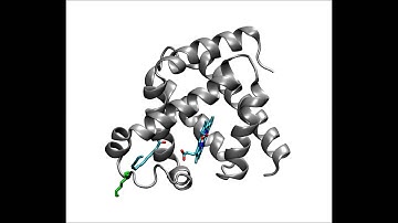 Molecular Dynamic Simulations Reveal the Structural Determinants of Fatty Acid Binding...
