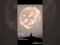 Delicate Apparatus-Shades of Dusk