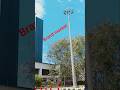 Brandon majnua brand rahte hue short video #popularsong #viralsong #englishsongs