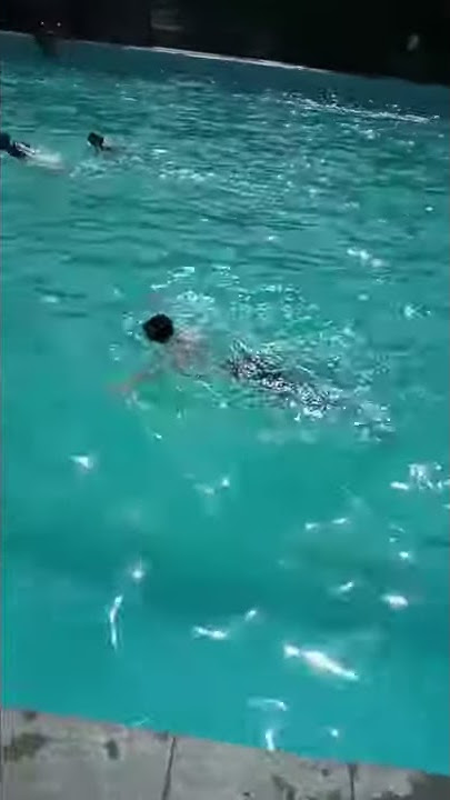Renang gaya katak casis TNI