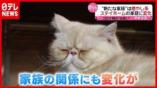 コロナ禍で迎えた２度目の春…街行く人に聞いた「出会いと別れ」（2021年5月5日放送「news every.」より）