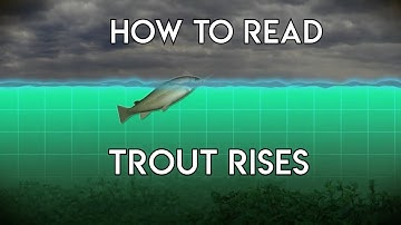 How To Read Trout Rises