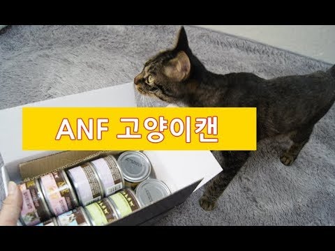 입맛 까다로운 고양이 미미에게 ANF 고양이캔 습식간식을 줘봤더니