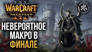 НЕВЕРОЯТНОЕ МАКРО В ФИНАЛЕ Между Hawk и Dise: Warcraft 3 Reforged