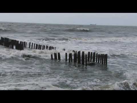 ფოთში, დროგამოშვებით წვიმა დაფიქსირდება 09 07 19