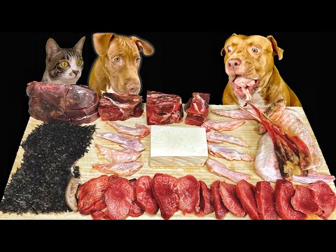 Видео: 24 Знаменити кученца, които са напълно готови за Великден