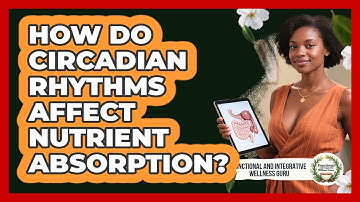 How Do Circadian Rhythms Affect Nutrient Absorption? - Functional and Integrative Wellness Guru