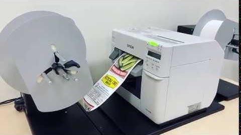 Epson C3500 Unwind/Rewind Unit