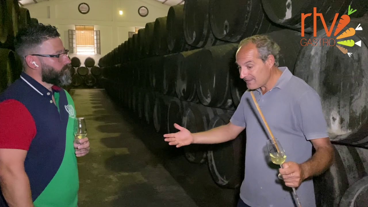 RTVGastro Bodegas Elías González