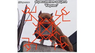 Агрессивная защита с призывом Мары и с очень харьковским вайбом )))