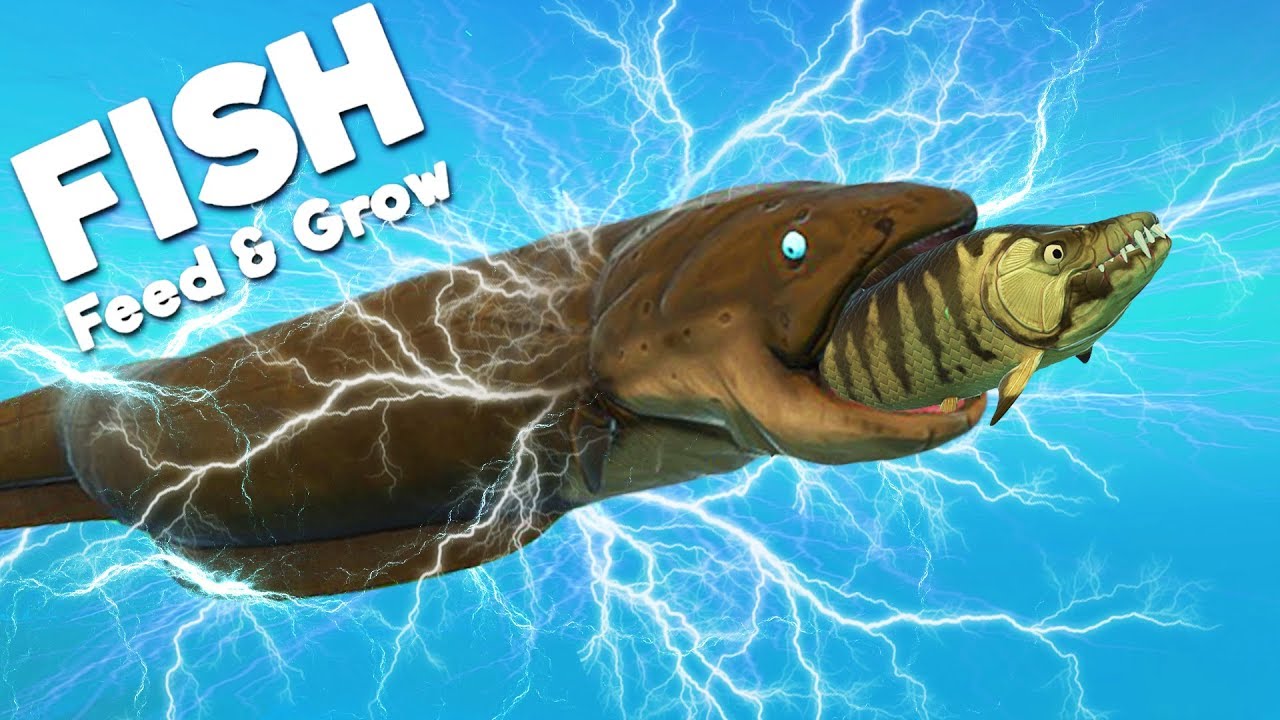 Feed and Grow: Fish on Steam