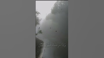 تلاوة عطرة من سورة الشعراء بصوت الشيخ عبدالله الموسى🤍