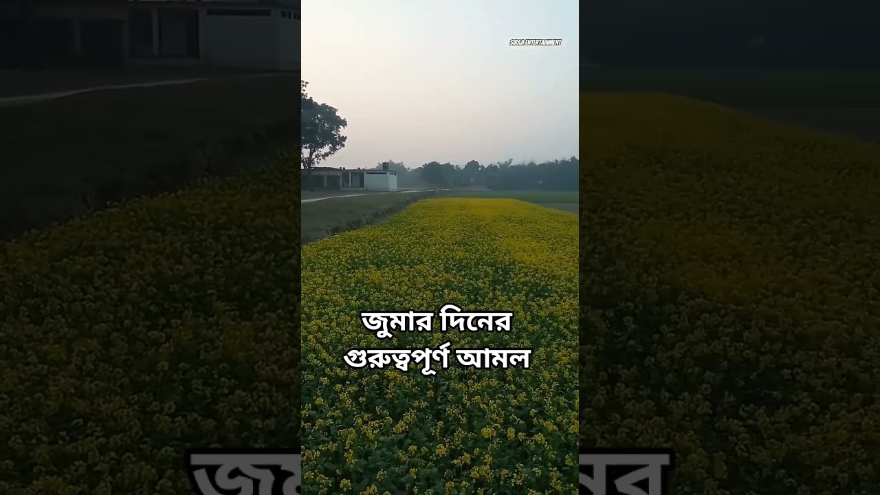 জুমার দিনের গুরুত্বপূর্ণ আমল #shortvideo #sirajientertainment #islamicvideo #trending #viralvideo