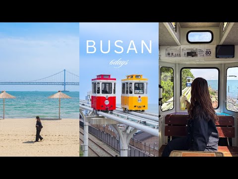 【釜山旅行 6日間(4K)】 美味しいグルメとカフェを堪能する旅 ┃ 海雲台,広安里,西面おすすめスポット