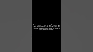 تلاوة خاشعة #اكسبلور #تلاوة_خاشعة #قران_كريم #قرآن #صوت_جميل #تلاوة_مؤثرة#مصر#الجزائر #المغرب#العراق