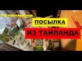 Что отослали в посылке из Тайланда в Германию! Открываем посылку из Тайланда