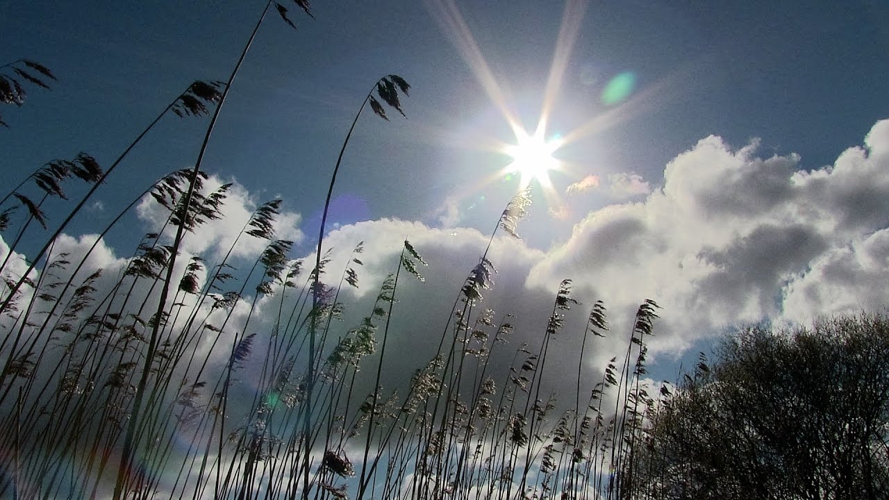 Film Trochrinnen: Jubbega 'Kompenijster Kuiertocht' 17.4 2017