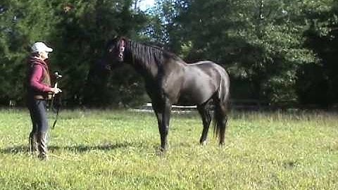 Join-Up Segment 3 - Willing Engagement