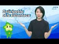 Daŭrigebla al la estonteco