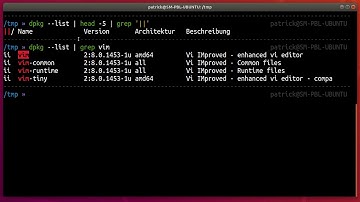 How to list the version number of an installed .deb package