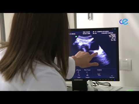 INGESA garantiza la prestación de la cartera de Servicios completa este verano