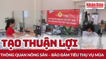Tạo thuận lợi thông quan nông sản – bảo đảm tiêu thụ vụ mùa | Báo Nhân Dân