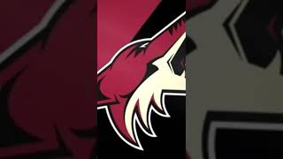 Coyotes Goal Horn #hockey #sports #goal #arizona