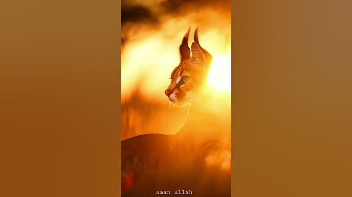 End,..😈🔥 #azmaik #reality #humanity #hearttouching #attitude #azmaikshortsKambal de..Thand hai🥶 #zid