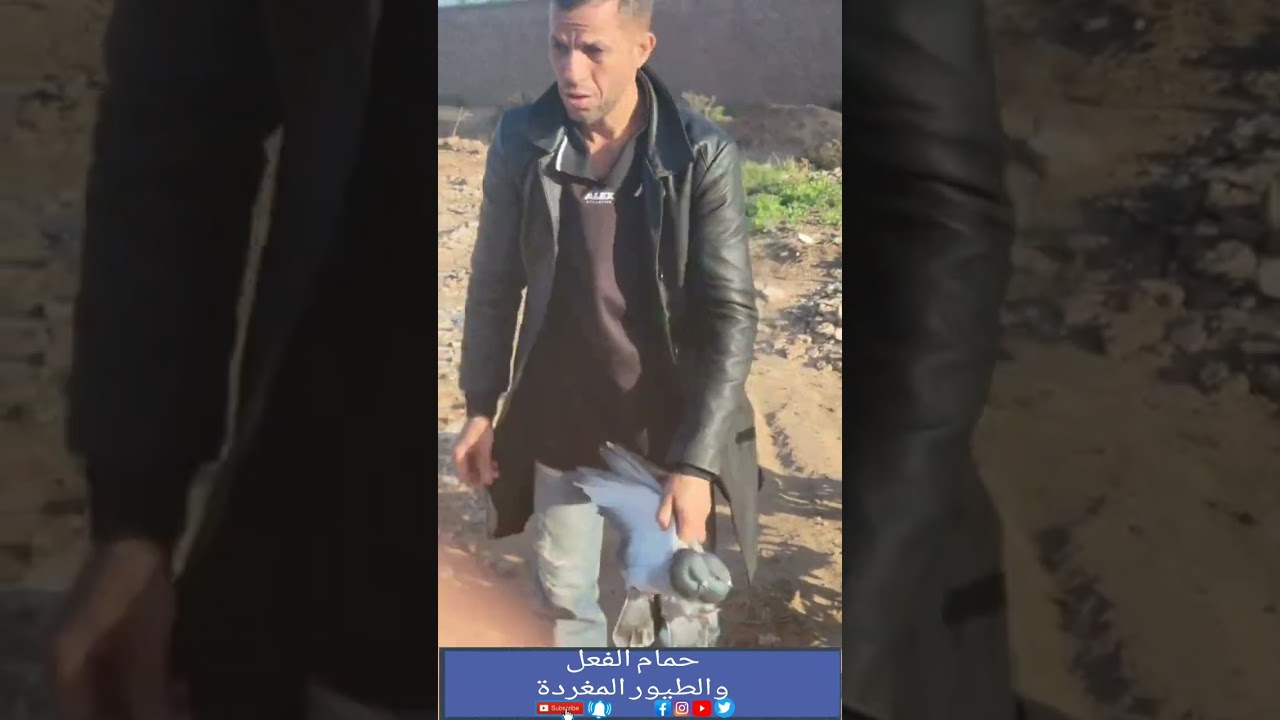 توليعة صباحية بحمام الفعل رفقة الإخوان