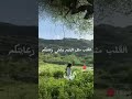 القلب مثل اليتيم يشتي رعايتكم ايوب طارش جديد