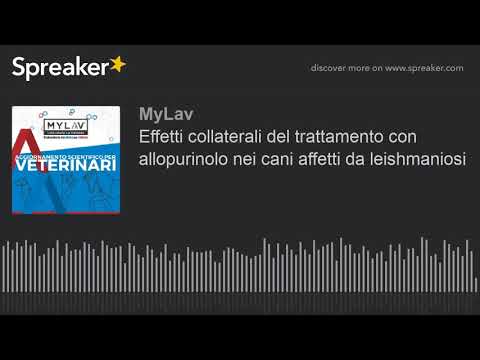 Effetti collaterali del trattamento con allopurinolo nei cani affetti da leishmaniosi