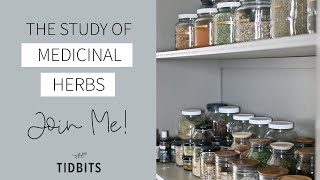 The Study of Medicinal Herbs | Let's Learn Together!