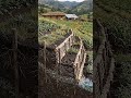 Las barreras de madera ayudan a formar terrazas, reducir erosión y conservar humedad
