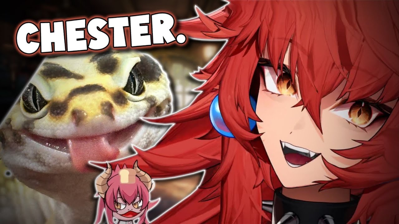 Chat Names Zen's New Pet Gecko! - YouTube