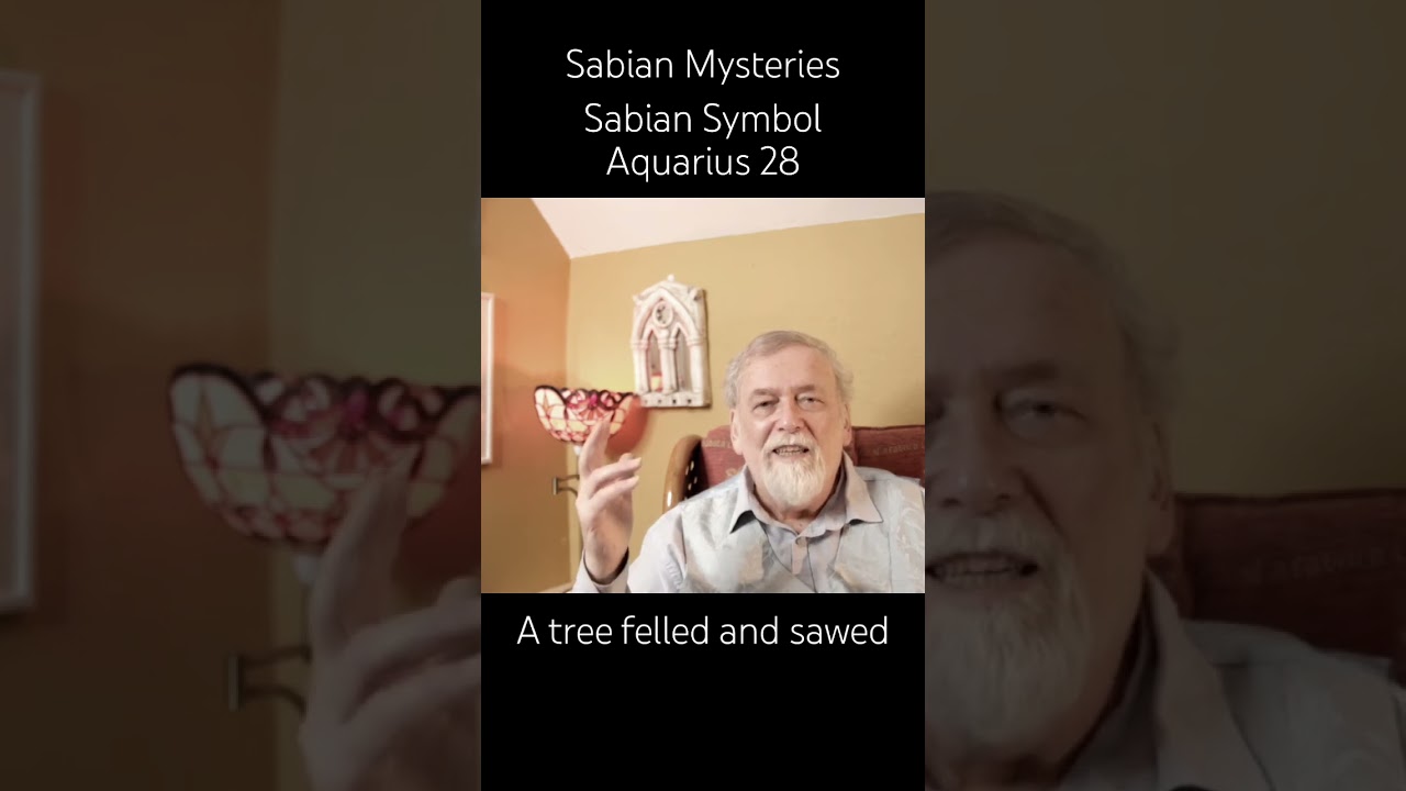 Aquarius 28 A tree felled and sawed