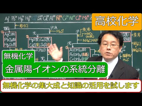 陽イオンの系統分析　定性分析　系統分離　無機化学　高校化学　エンジョイケミストリー　134202