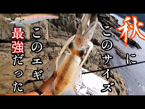 残り1組早い者勝ち　メガバス　秋イカ　エギ　3.5号　10本 エギング 10本 エギケース イカ釣り エギ 3号 釣り 仕掛け