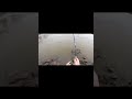 Chunky hybrid bass from flooded river dam