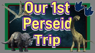 That Time We Saw The Perseids