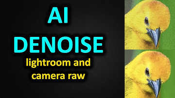 Adobe AI Denoise - remove noise from photos shoot at high ISO