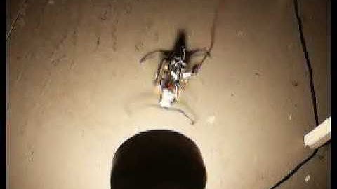 2 servo walker light attractor (Vintage Video)