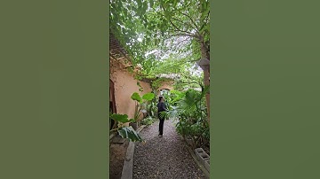 Cafe view ở Phan Thiết 2023.11.04 12:14