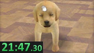 Nintendogs Speedruns existieren und ich hasse es.